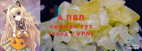 ГАЛЛЮЦИНОГЕННЫЕ ГРИБЫ Беломорск
