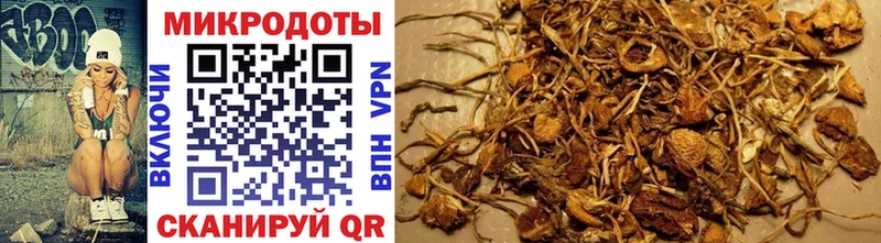 Псилоцибиновые грибы мицелий  Высоцк 